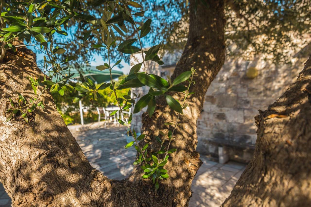 Trullo Olive Tree Villa Locorotondo Exteriör bild